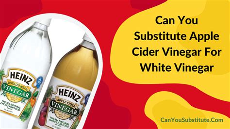 can you substitute white vinegar for apple cider vinegar